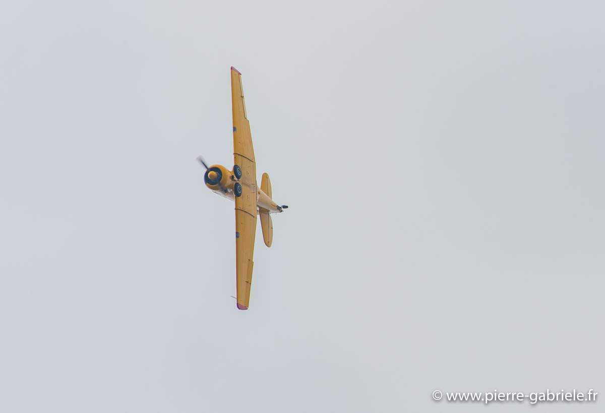 t6_5821.jpg
