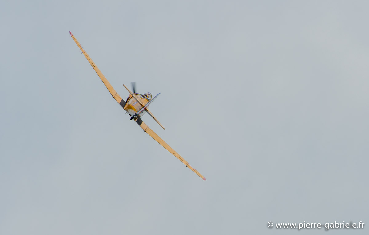 t6_5826.jpg
