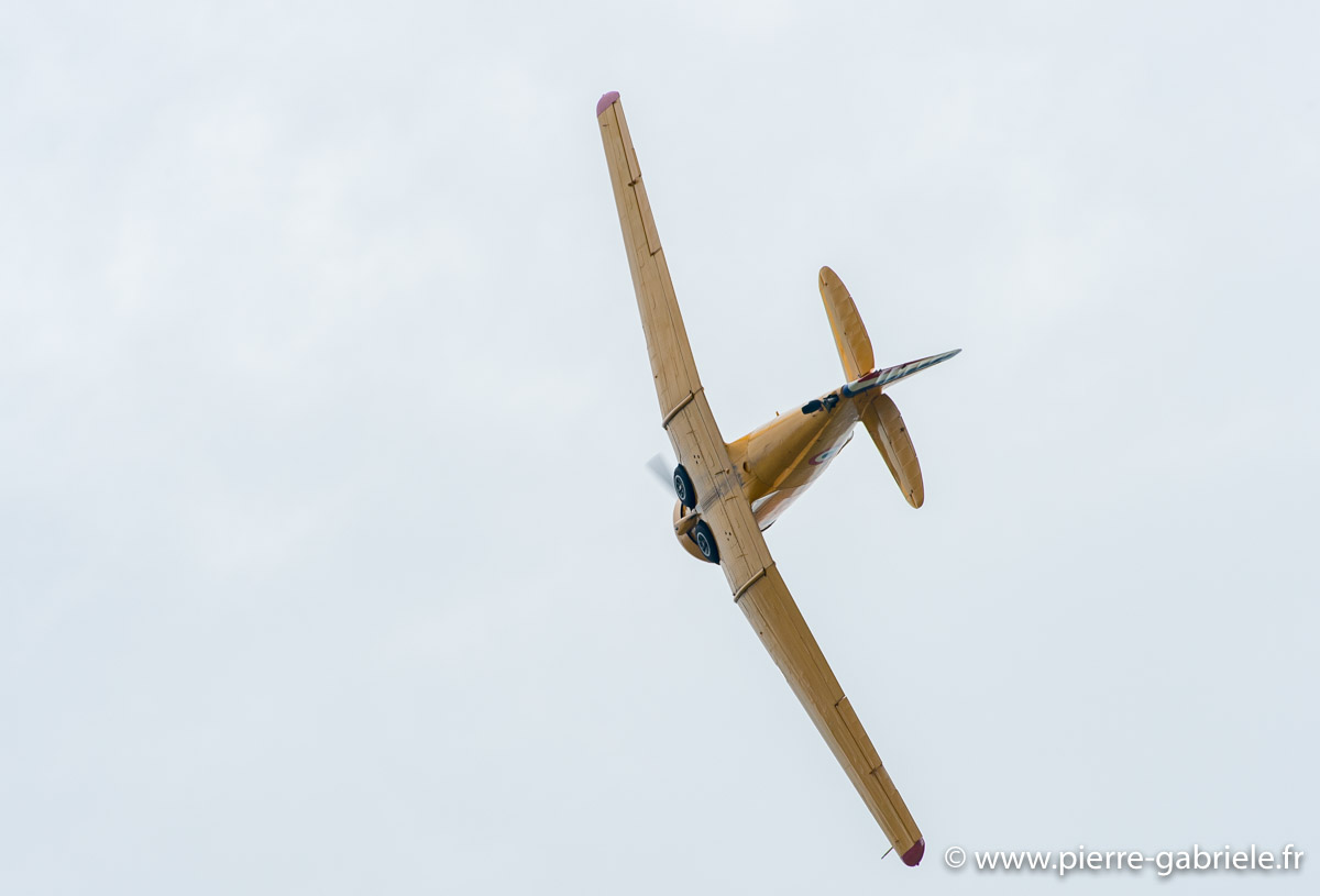 t6_5843.jpg