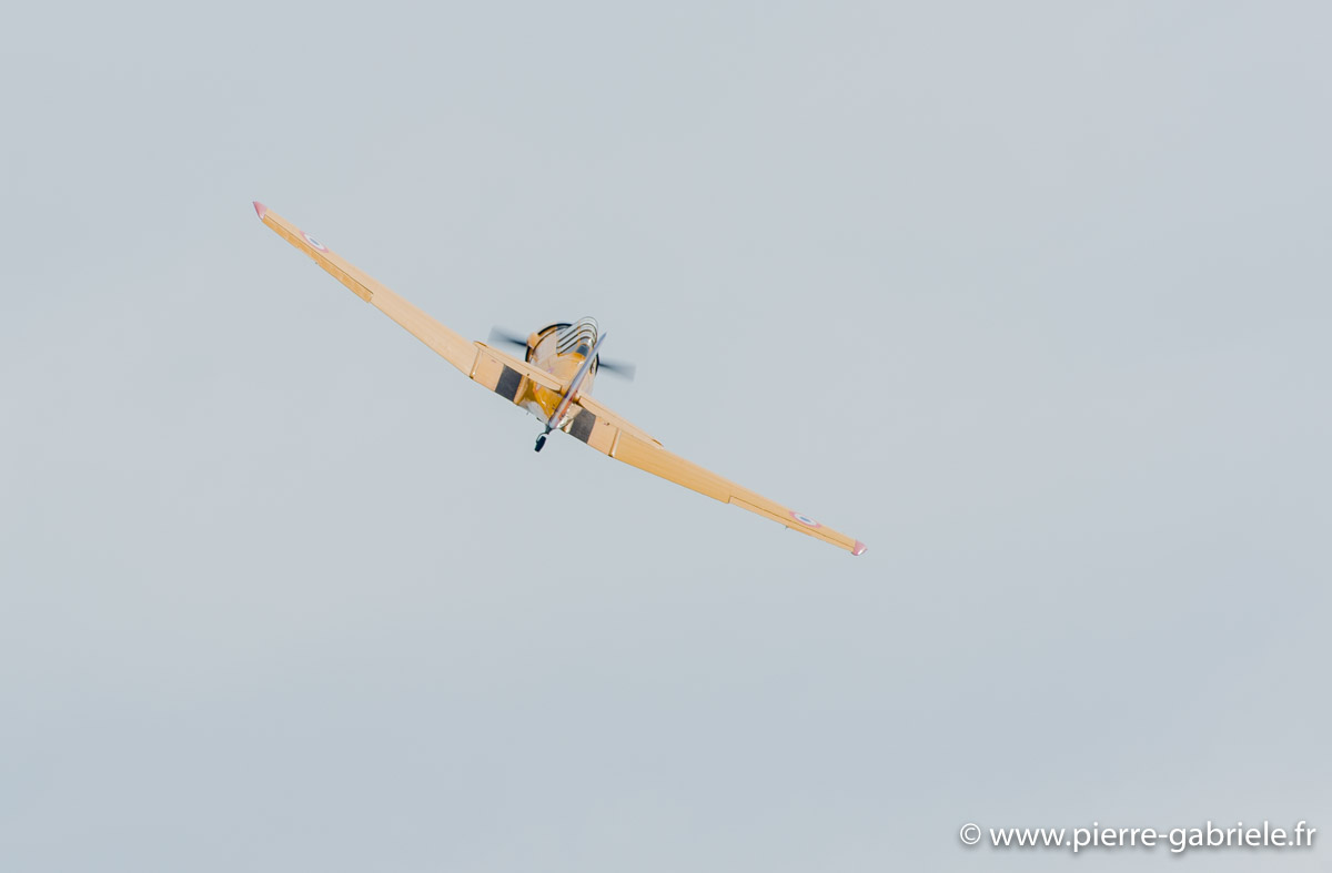t6_5849.jpg