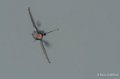 f16-grec-gh6_2267