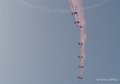 paras-falcons-raf-g9_2394