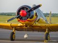 t6-g9_2361