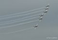 wings-of-storm-g9_2057
