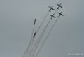 wings-of-storm-g9_2064