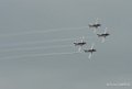 wings-of-storm-g9_2066