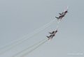 wings-of-storm-g9_2068