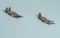 wings-of-storm-g9_2070