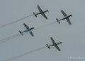 wings-of-storm-g9_2076