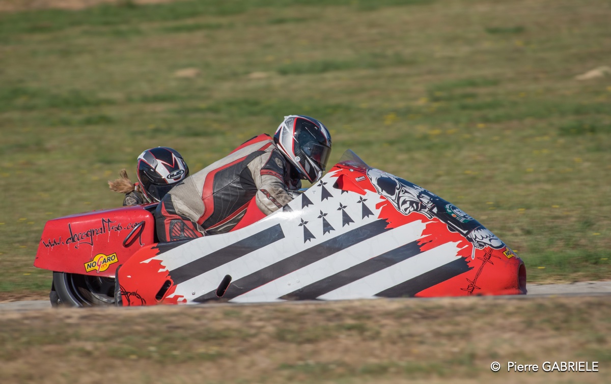 coyotes-2016-d750_4393.jpg