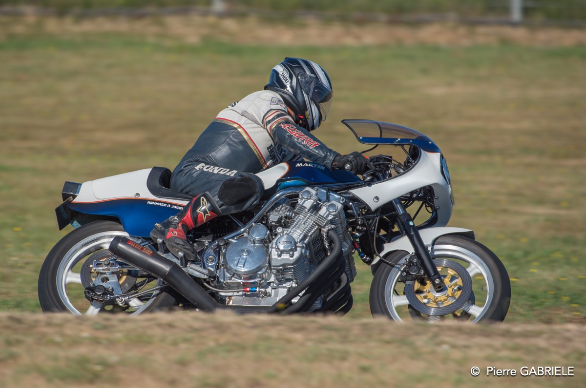 coyotes-2016-d750_4548.jpg