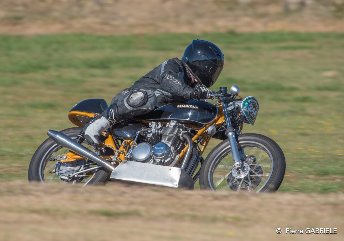coyotes-2016-d750_4556.jpg