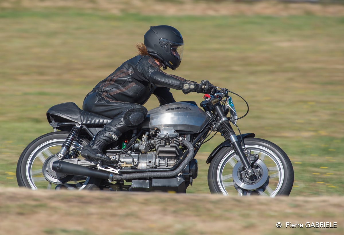 coyotes-2016-d750_4566.jpg