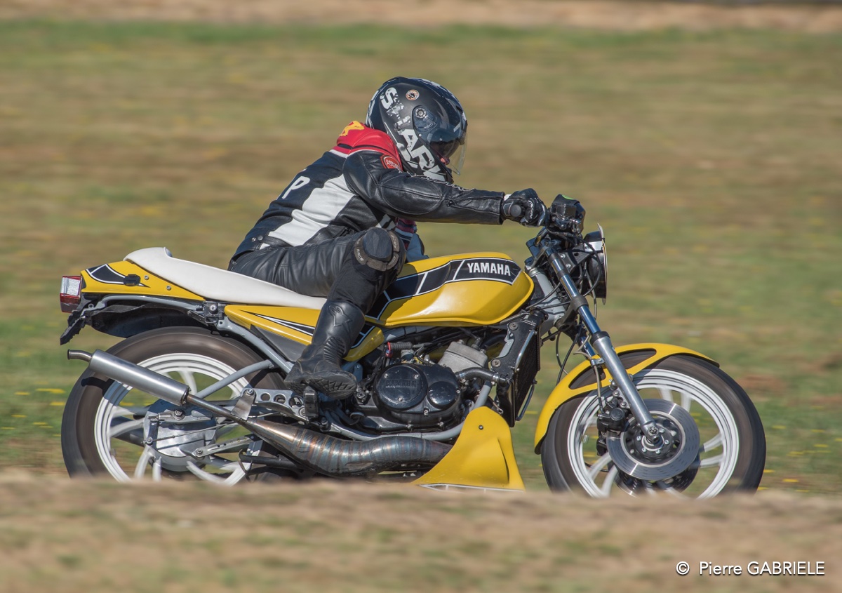 coyotes-2016-d750_4573.jpg