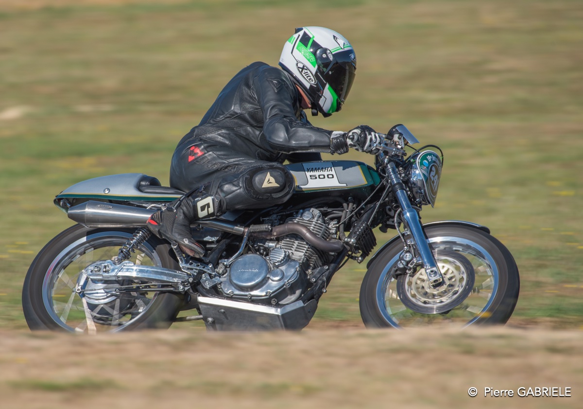 coyotes-2016-d750_4612.jpg