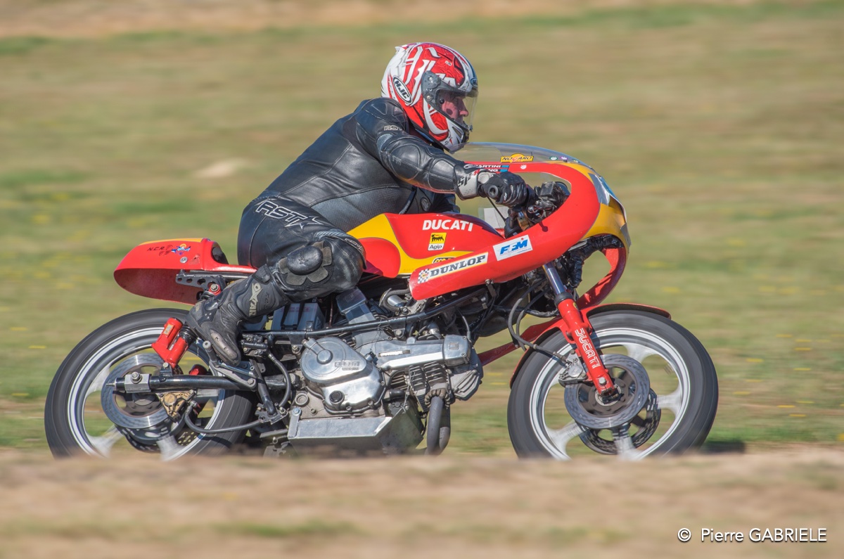 coyotes-2016-d750_4616.jpg