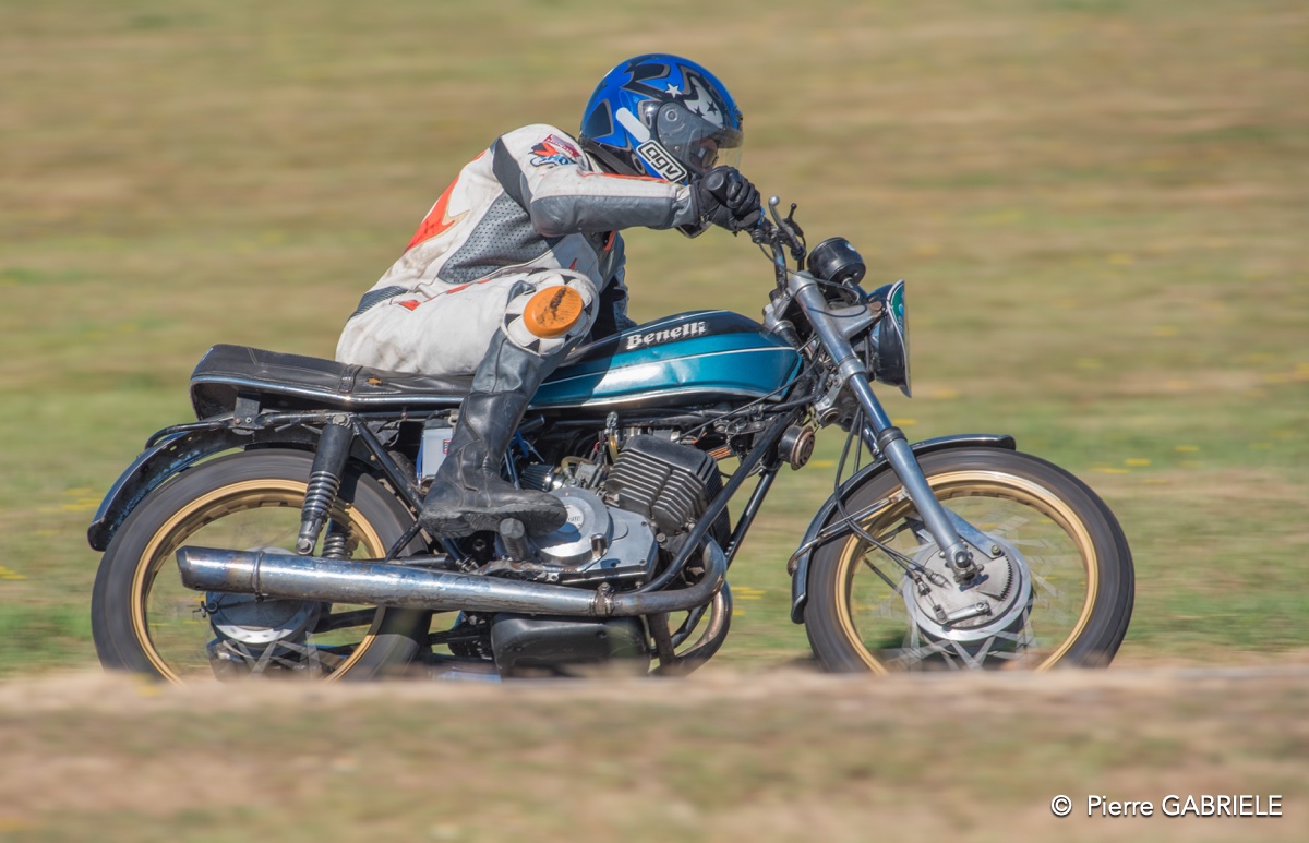 coyotes-2016-d750_4618.jpg