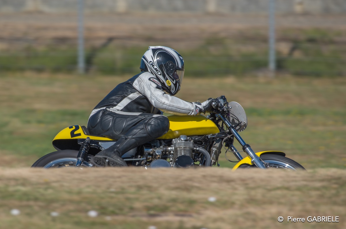coyotes-2016-d750_4623.jpg