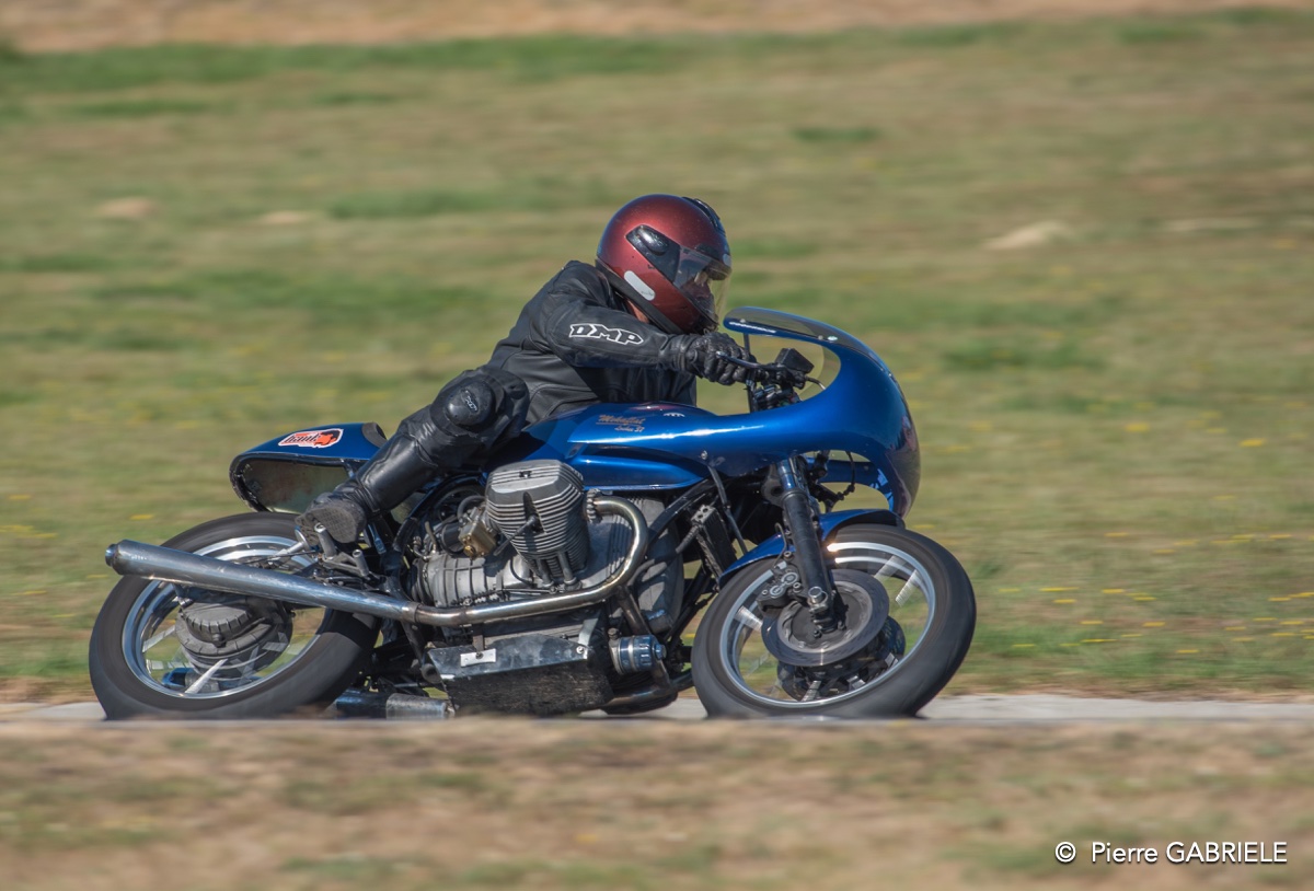coyotes-2016-d750_4645.jpg