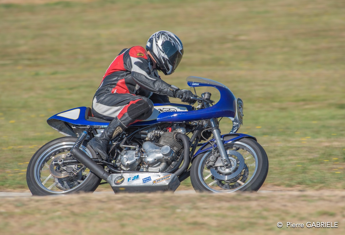coyotes-2016-d750_4650.jpg