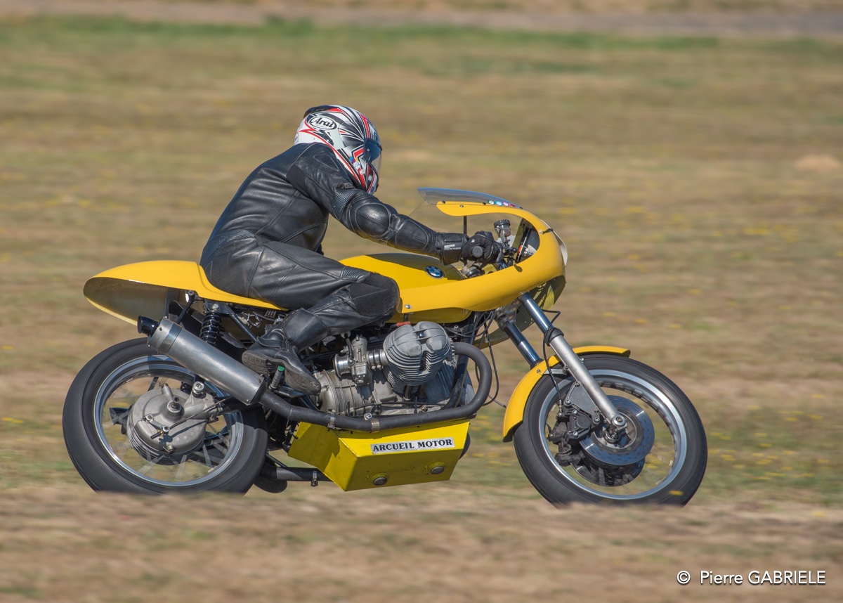 coyotes-2016-d750_4657.jpg