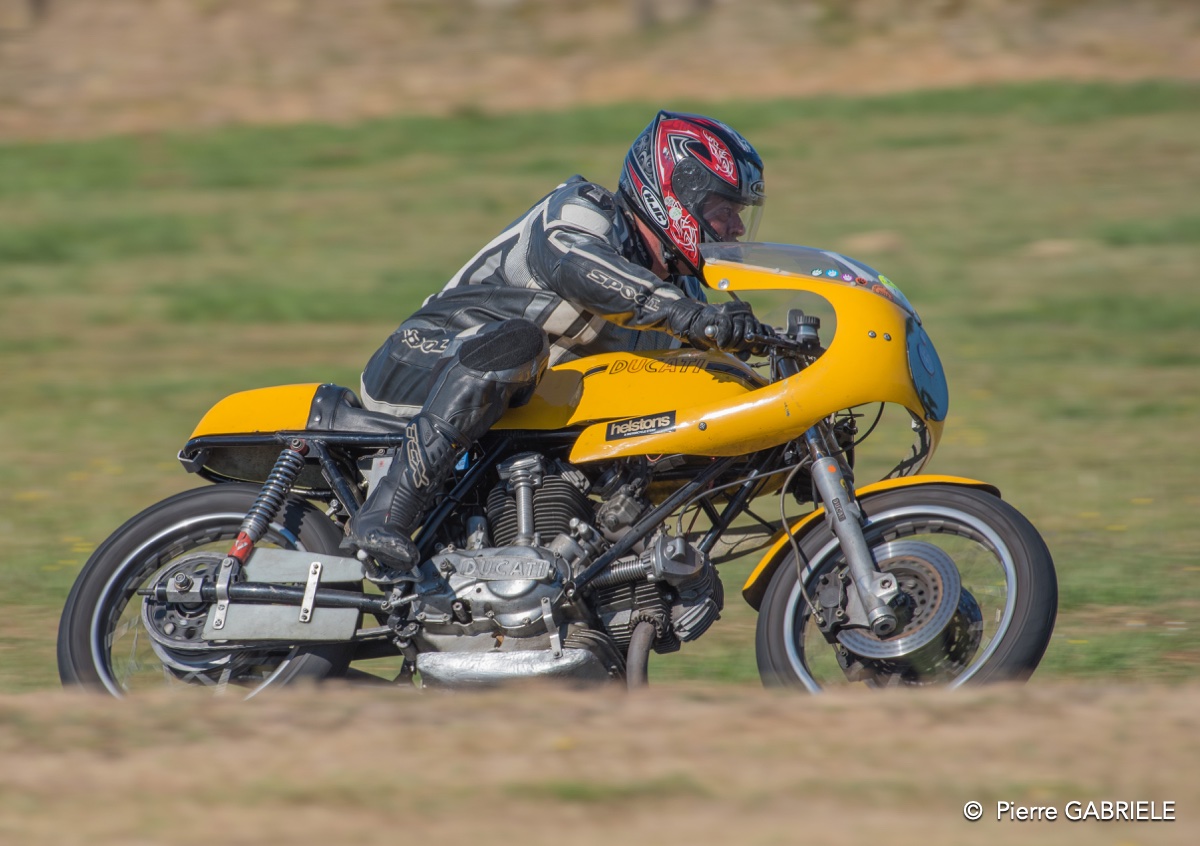 coyotes-2016-d750_4741.jpg