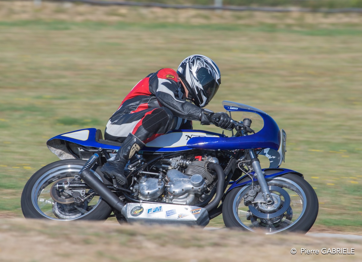 coyotes-2016-d5_0455.jpg