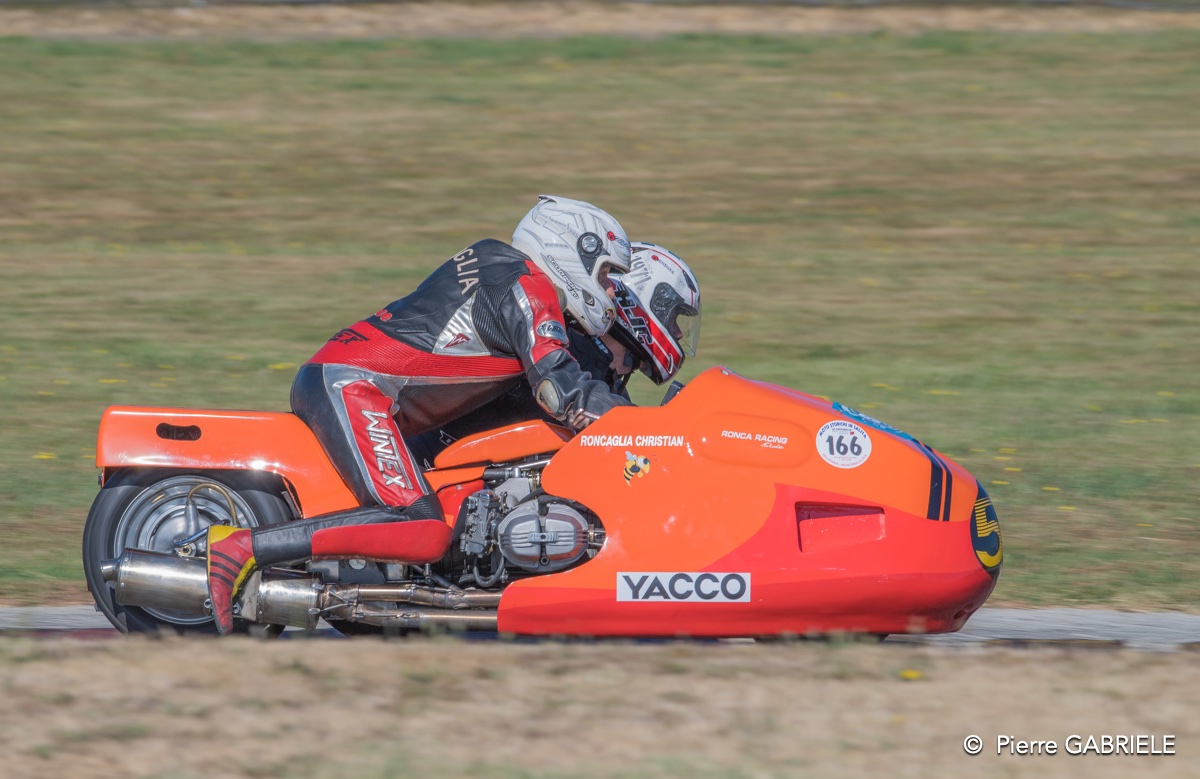 coyotes-2016-d5_0574.jpg