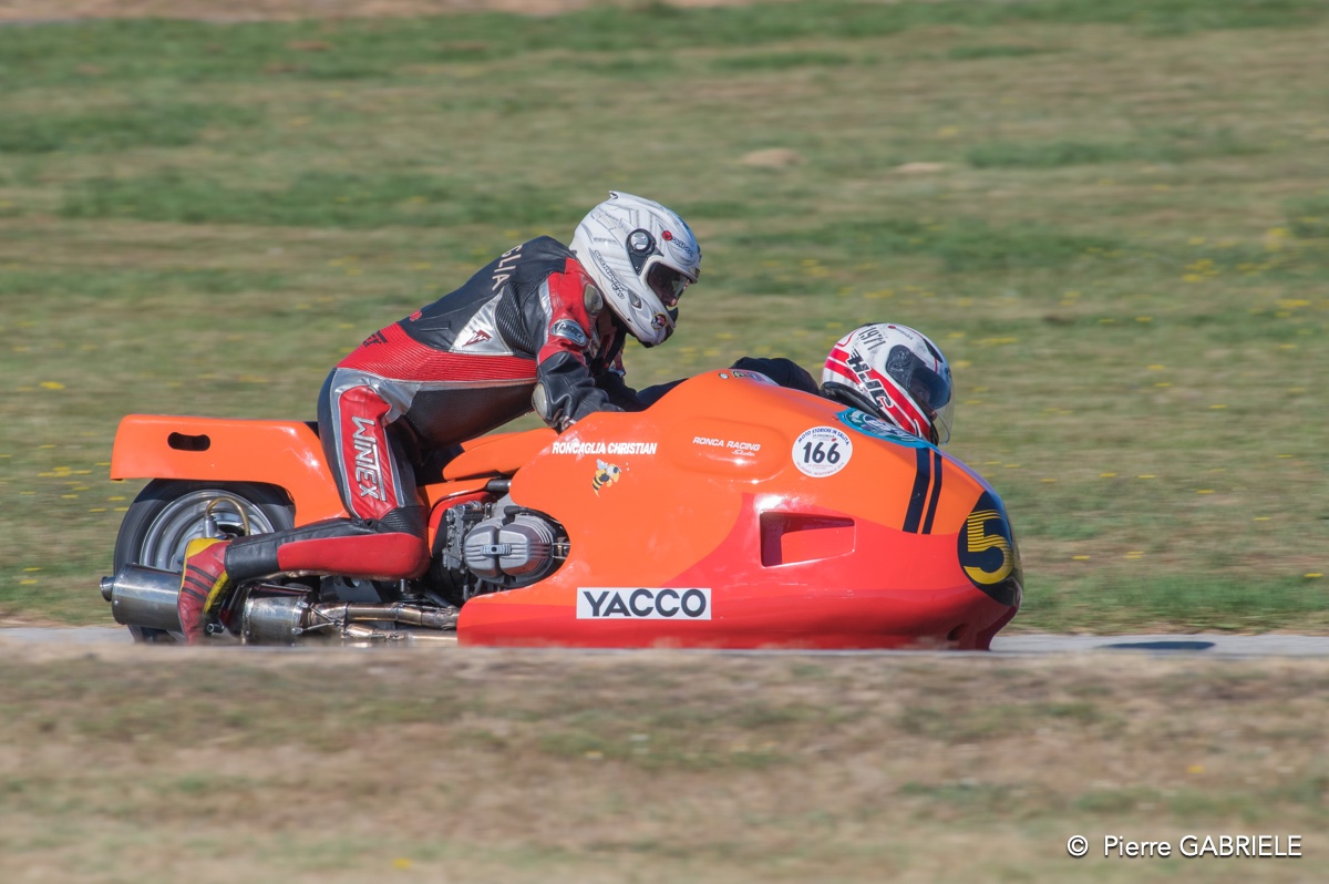 coyotes-2016-d5_0609.jpg