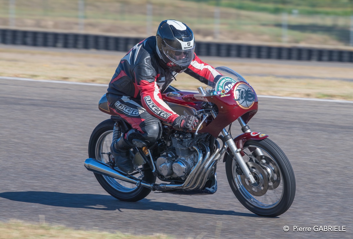 coyotes-2016-d5_0726.jpg