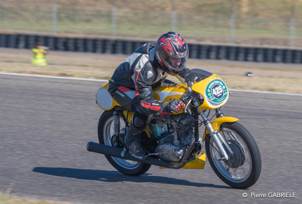 coyotes-2016-d5_0729.jpg