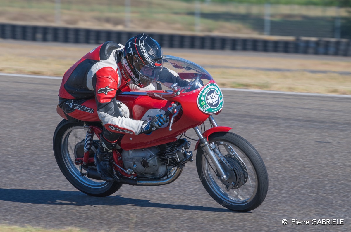 coyotes-2016-d5_0732.jpg