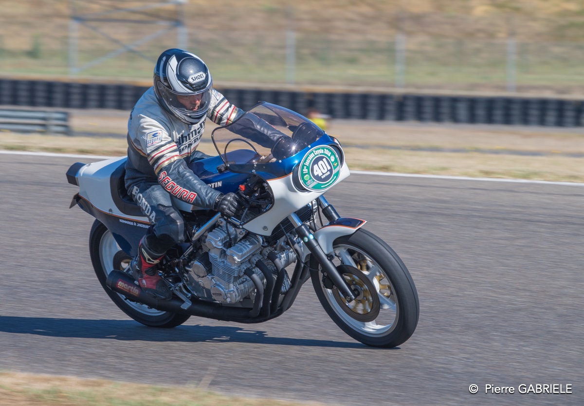 coyotes-2016-d5_0736.jpg