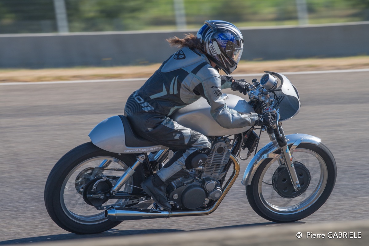 coyotes-2016-d5_0737.jpg