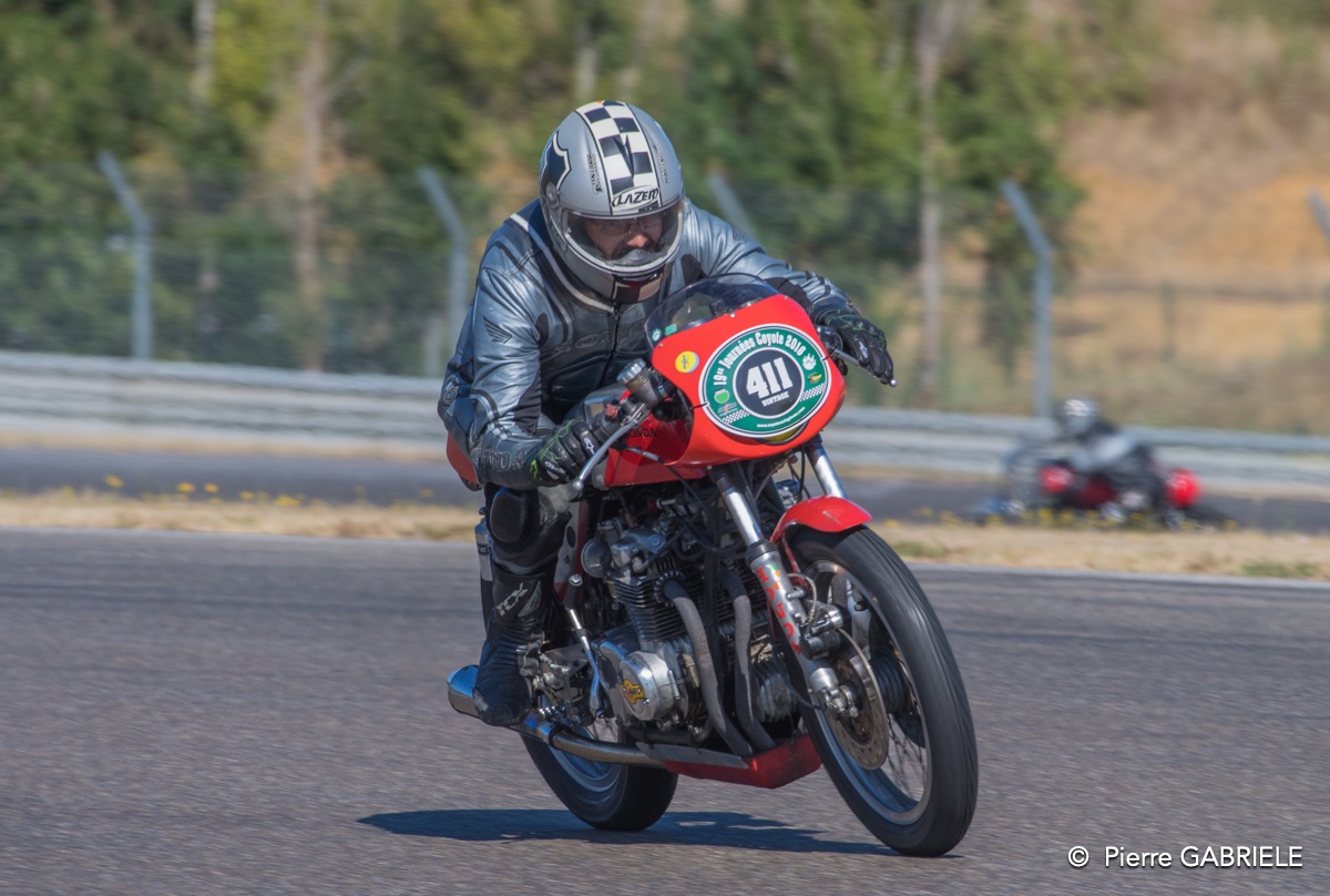 coyotes-2016-d5_0741.jpg