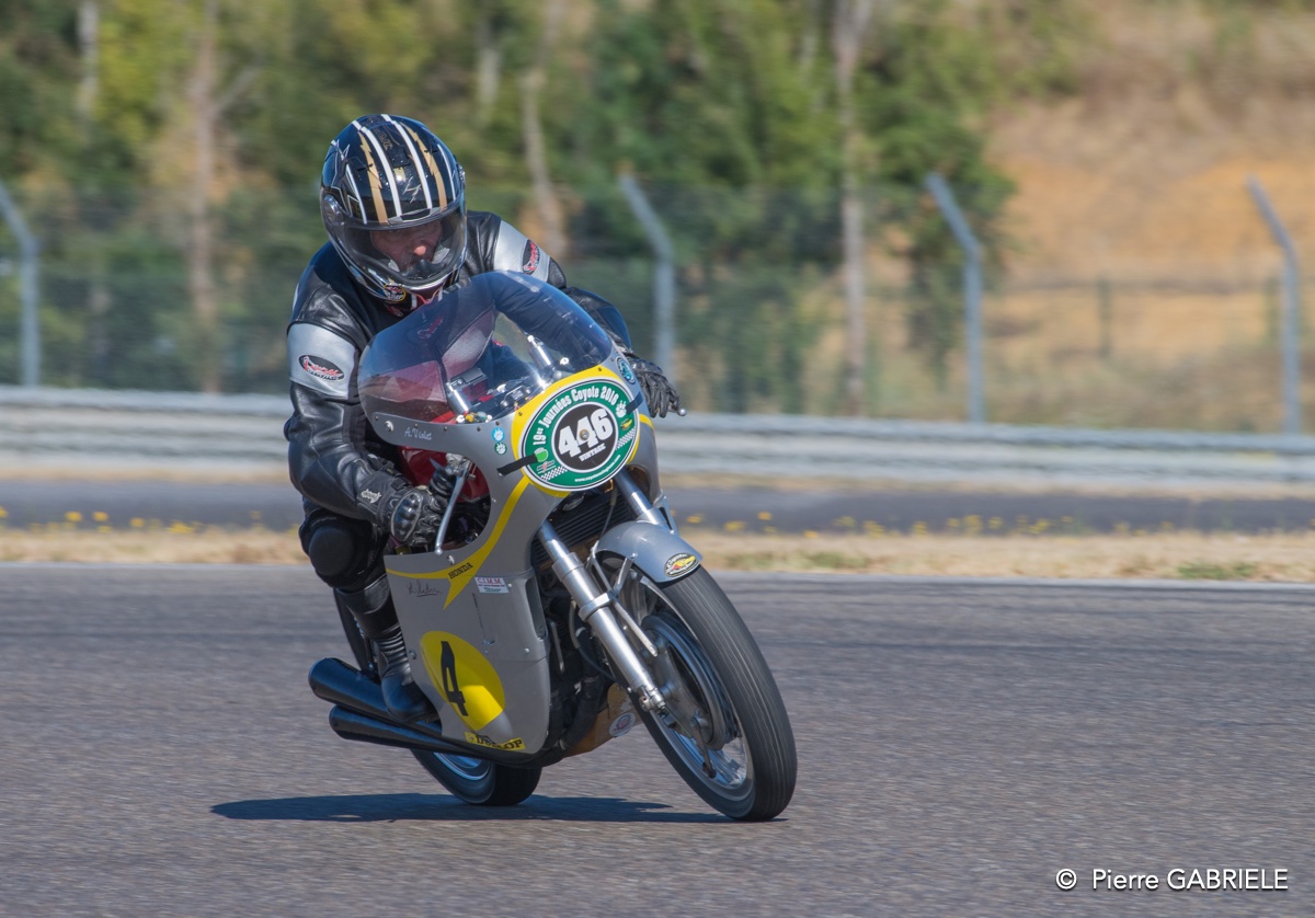 coyotes-2016-d5_0742.jpg