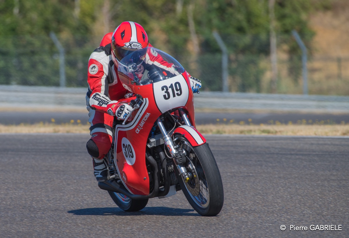 coyotes-2016-d5_0747.jpg
