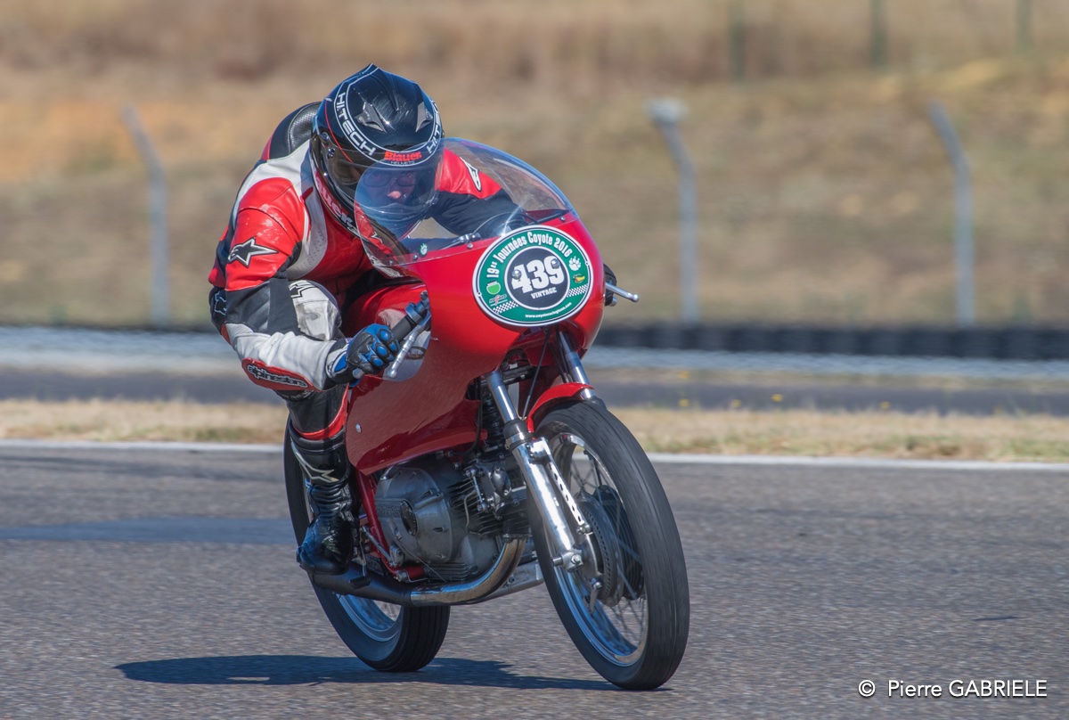 coyotes-2016-d5_0752.jpg