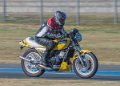 coyotes-2016-d5_0365