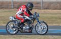 coyotes-2016-d5_0367
