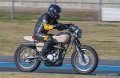 coyotes-2016-d5_0370