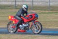 coyotes-2016-d5_0371