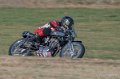 coyotes-2016-d5_0377