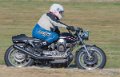 coyotes-2016-d5_0419
