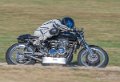 coyotes-2016-d5_0426