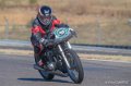 coyotes-2016-d5_0744