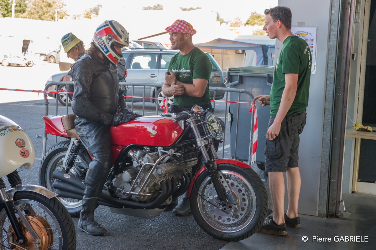 coyotes-2016-d5_0778.jpg