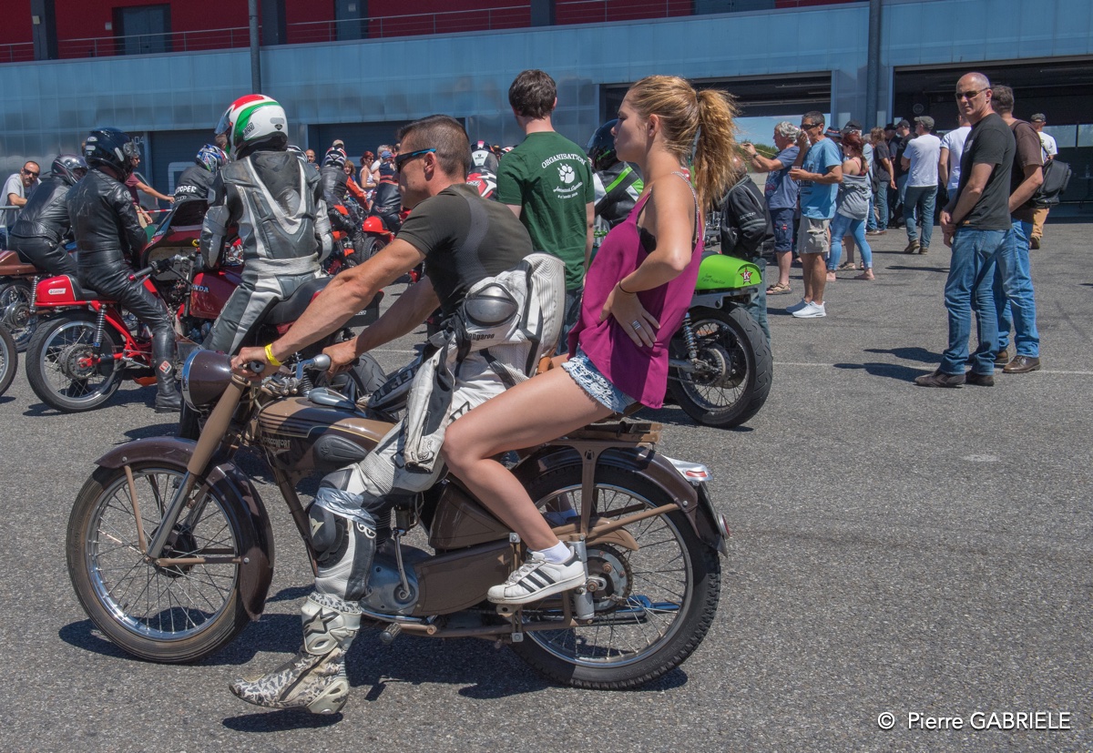 coyotes-2016-d5_0791.jpg