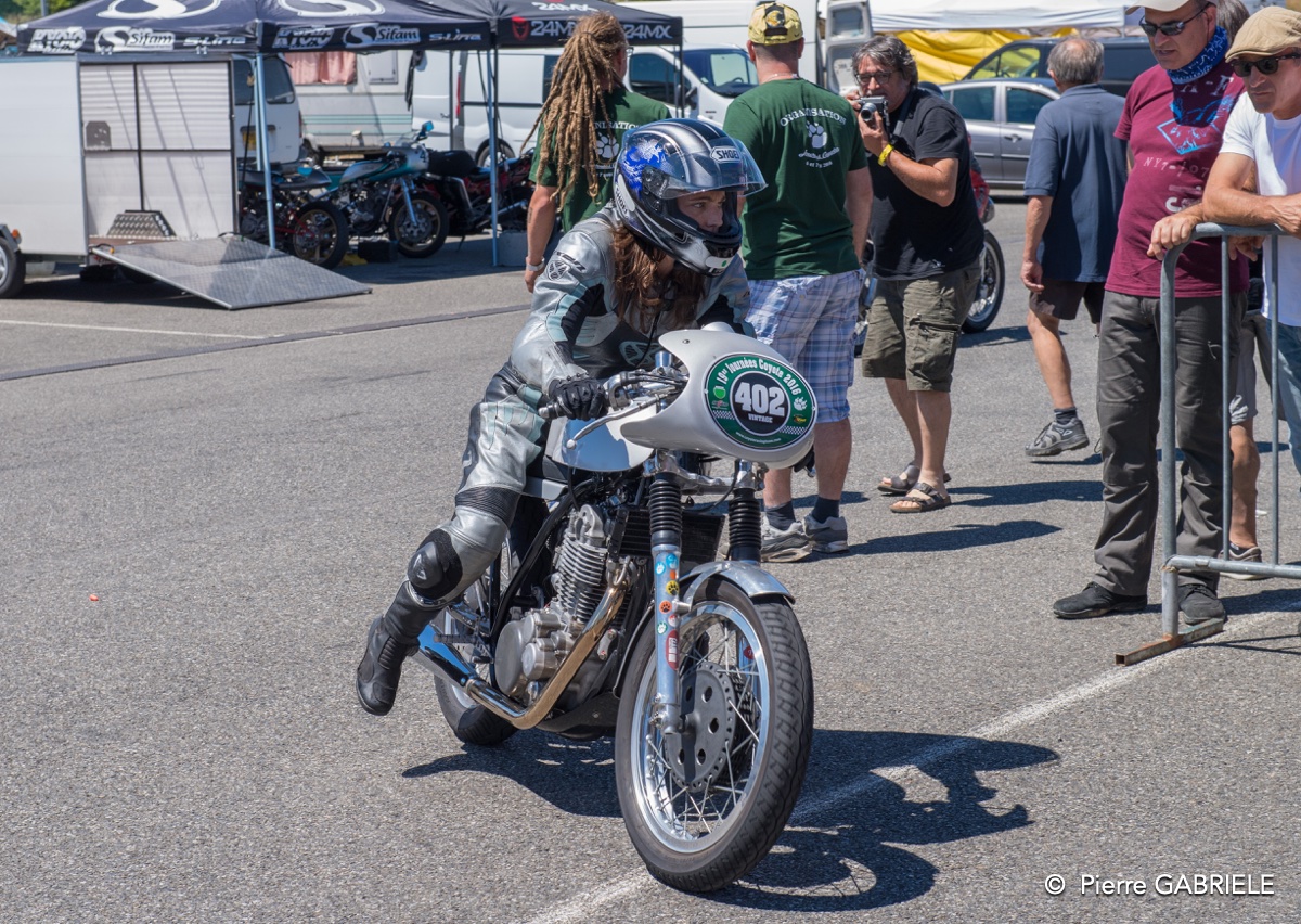 coyotes-2016-d5_0796.jpg