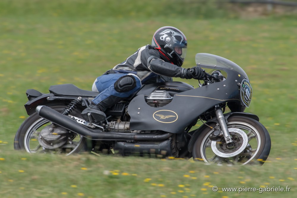 coyotes-dimanche-d500_6973.jpg